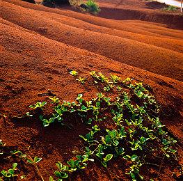 《星空》设计师回顾开发历程：连续两年我压力很大